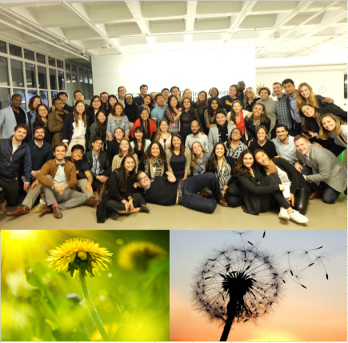 screenshot-2016-11-05-22-43-41